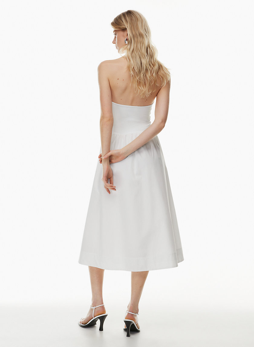 Babaton FLUID DRESS | Aritzia INTL