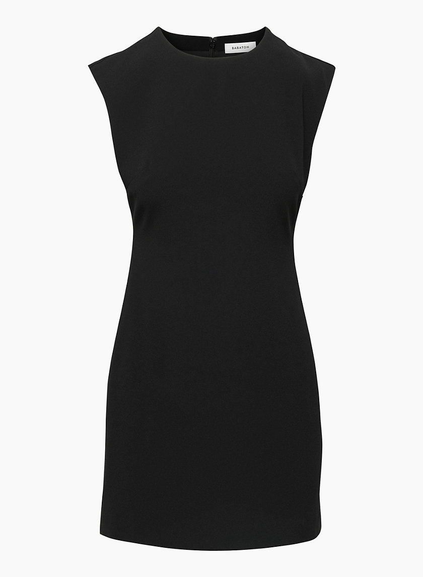 Babaton AUCTION DRESS | Aritzia US