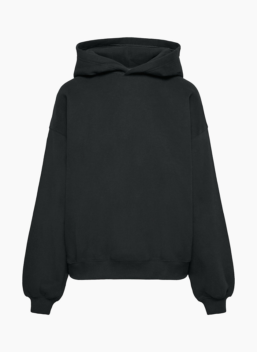 Super fleece oversized hoodie in dark shadow : r/Aritzia