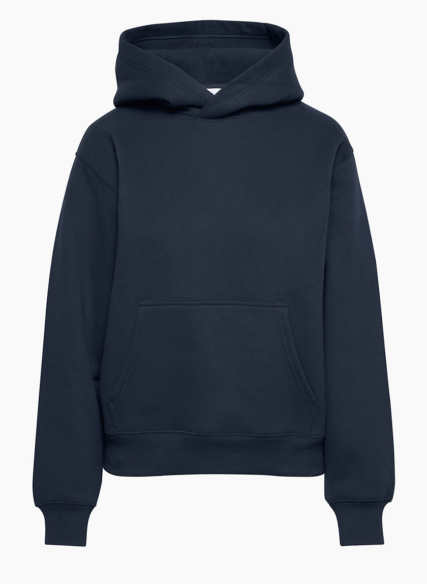 Aritzia COZY FLEECE PERFECT HOODIE