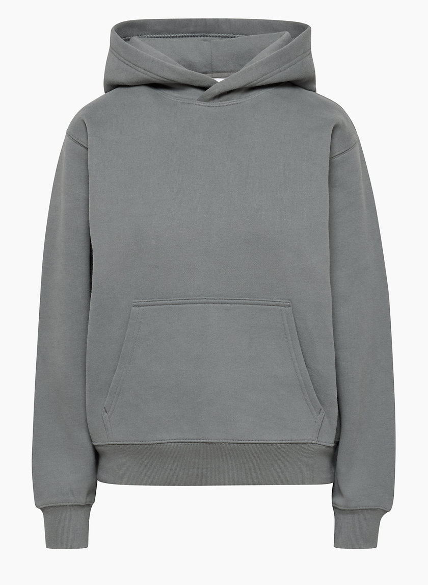 Aritzia COZY FLEECE PERFECT HOODIE