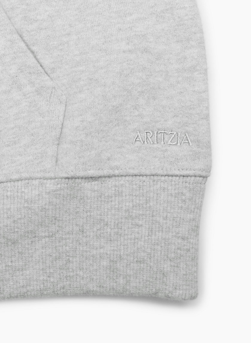 Aritzia discount grey hoodie