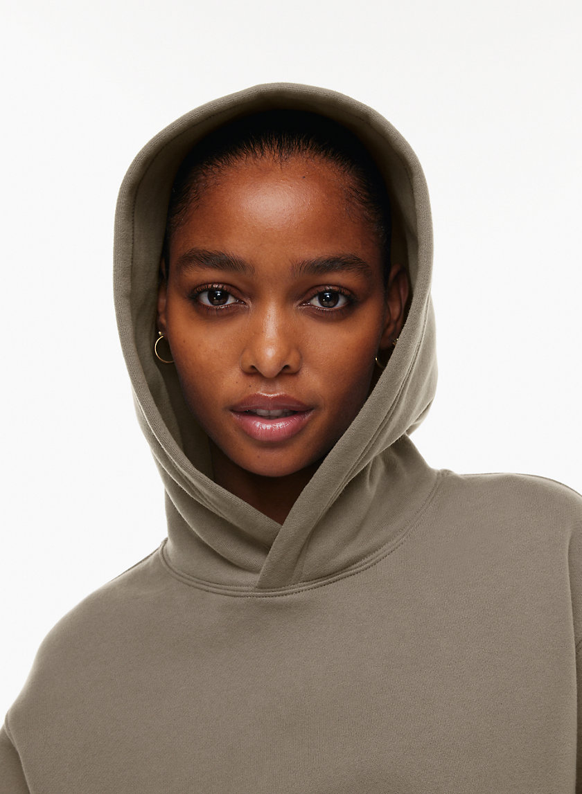 Aritzia COZY FLEECE PERFECT HOODIE