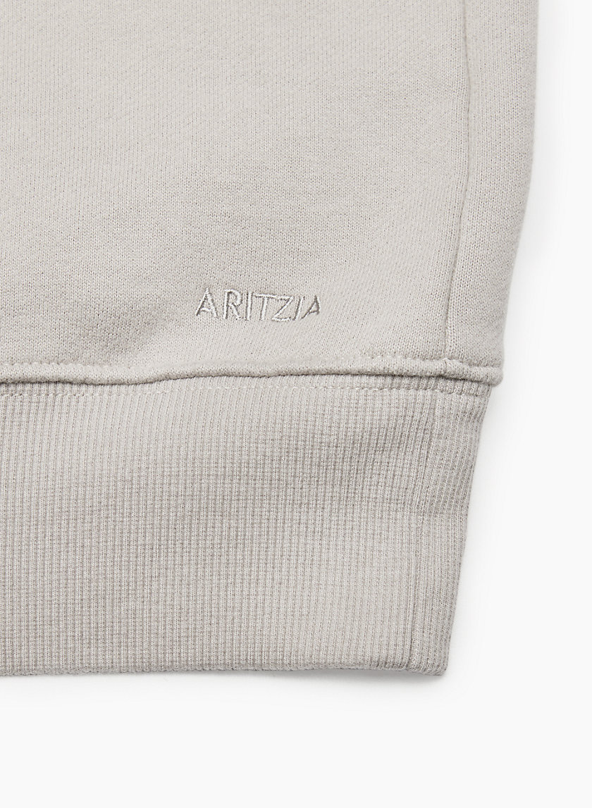 Aritzia COZY FLEECE MEGA RAGLAN™ HOODIE