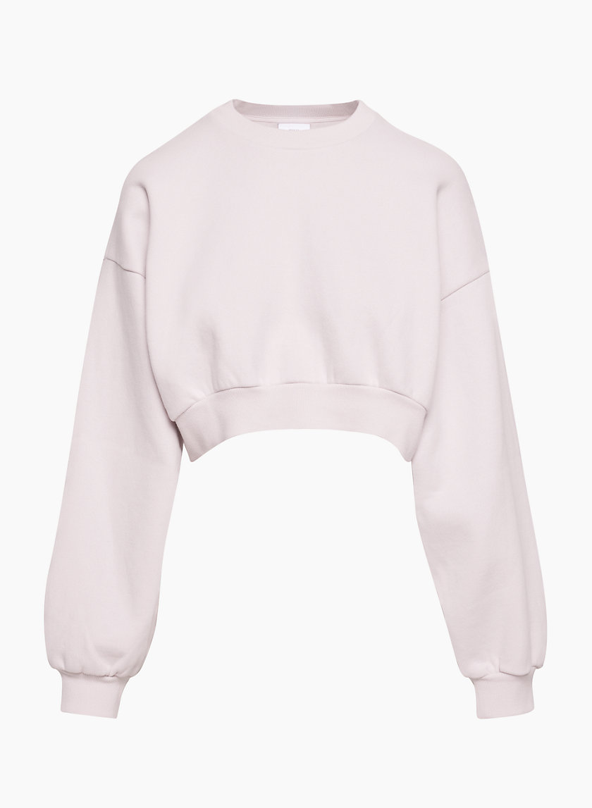 Aritzia cropped outlet sweatshirt