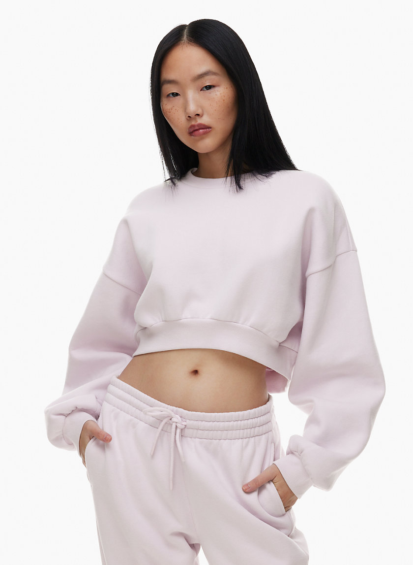 Aritzia shop cropped hoodie