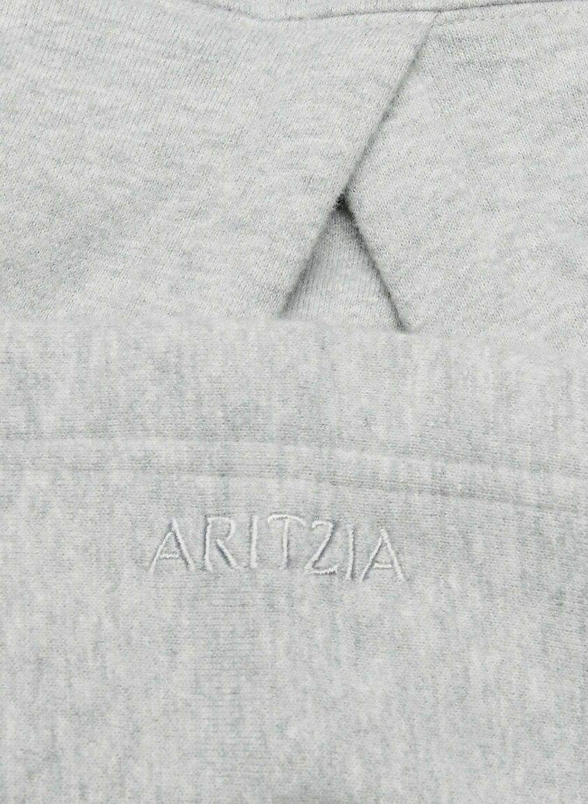 Aritzia COZY FLEECE MEGA RAGLAN™ HOODIE