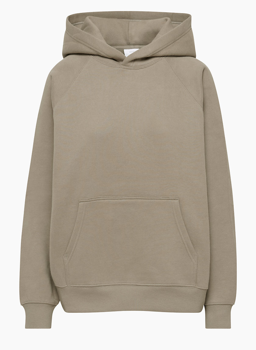 Aritzia COZY FLEECE MEGA RAGLAN™ HOODIE