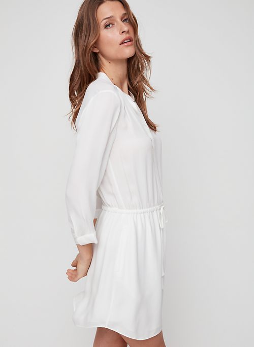 aritzia babaton silk dress