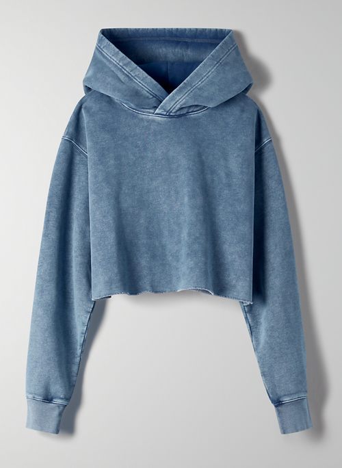 aritzia cropped hoodie