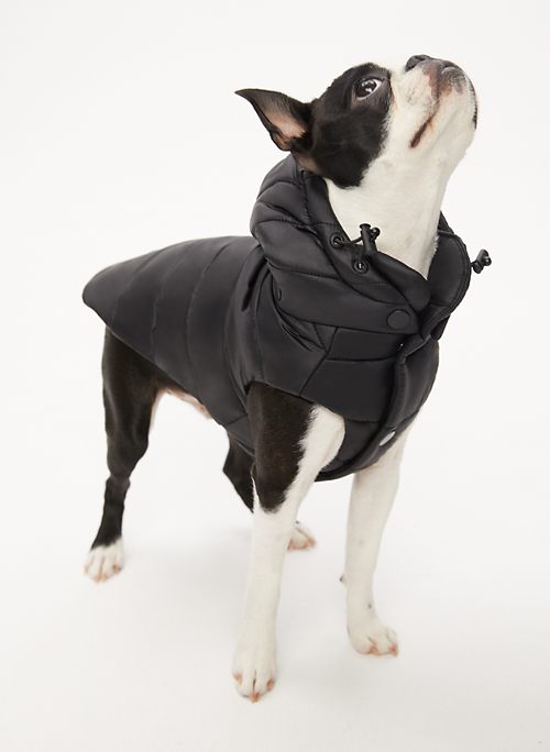 aritzia puffer jacket dog