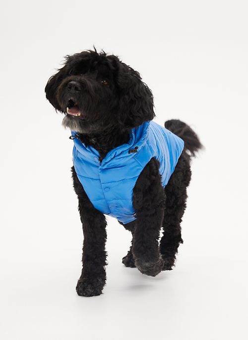 super puff dog jacket