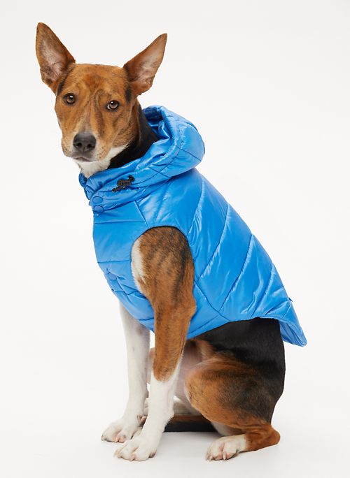 aritzia puffer for dogs