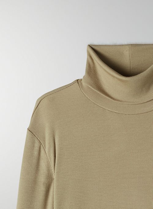 aritzia freshman turtleneck