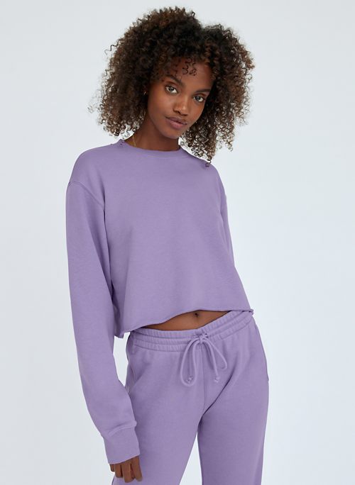 Aritzia best sale cropped hoodie