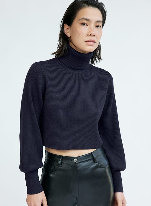 aritzia blue sweater