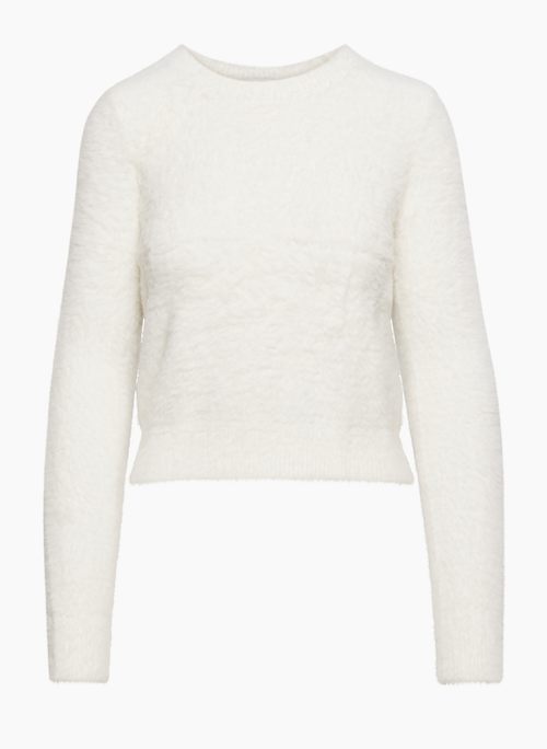 Aritzia on sale fuzzy sweater