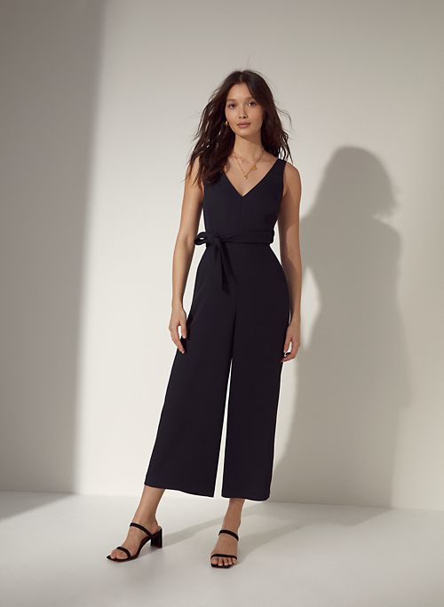 aritzia blue jumpsuit