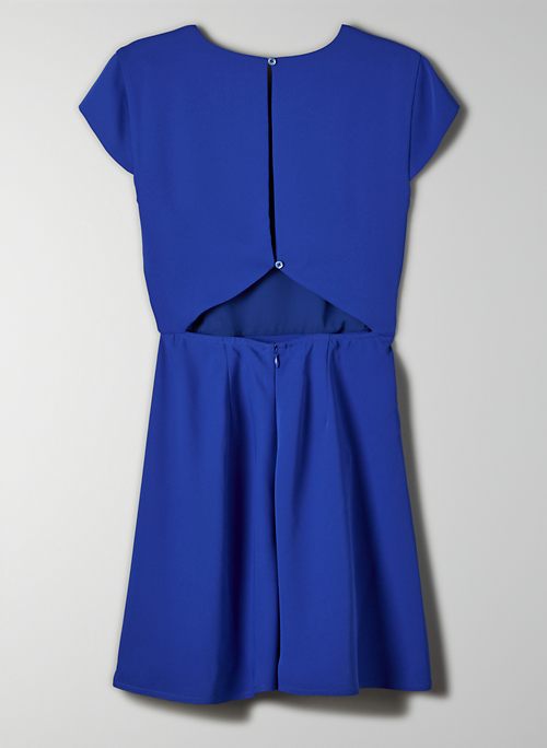 babaton hamptons mini dress