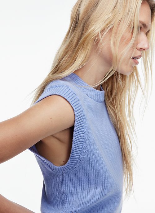 aritzia alps sweater