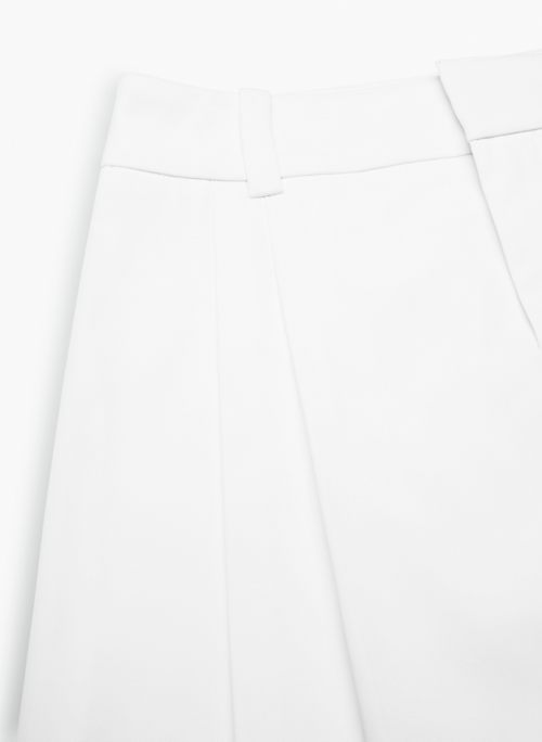 cargo skirt Aritzia CA