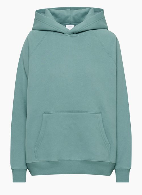 Tna Aritzia Women's The Iconic Hoodie in Light Blue Size XSMALL