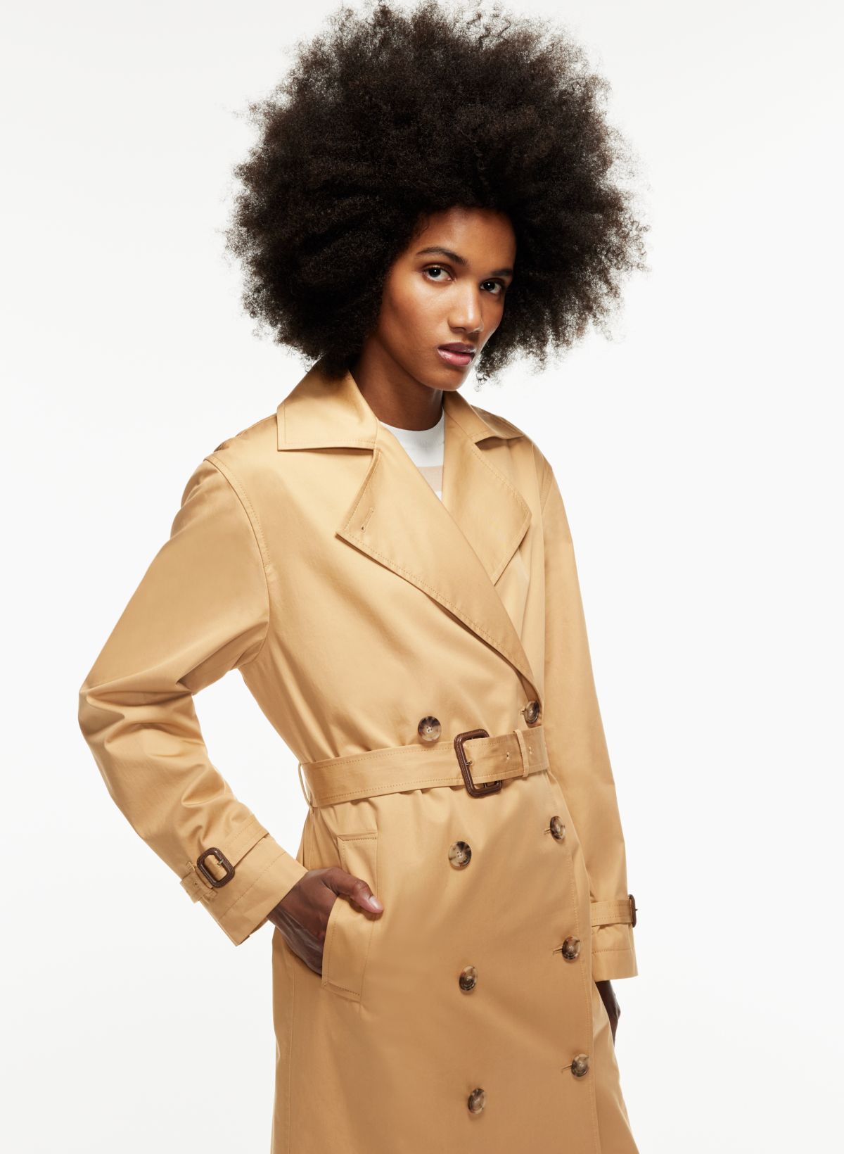 Babaton VANASCO TRENCH COAT | Aritzia US