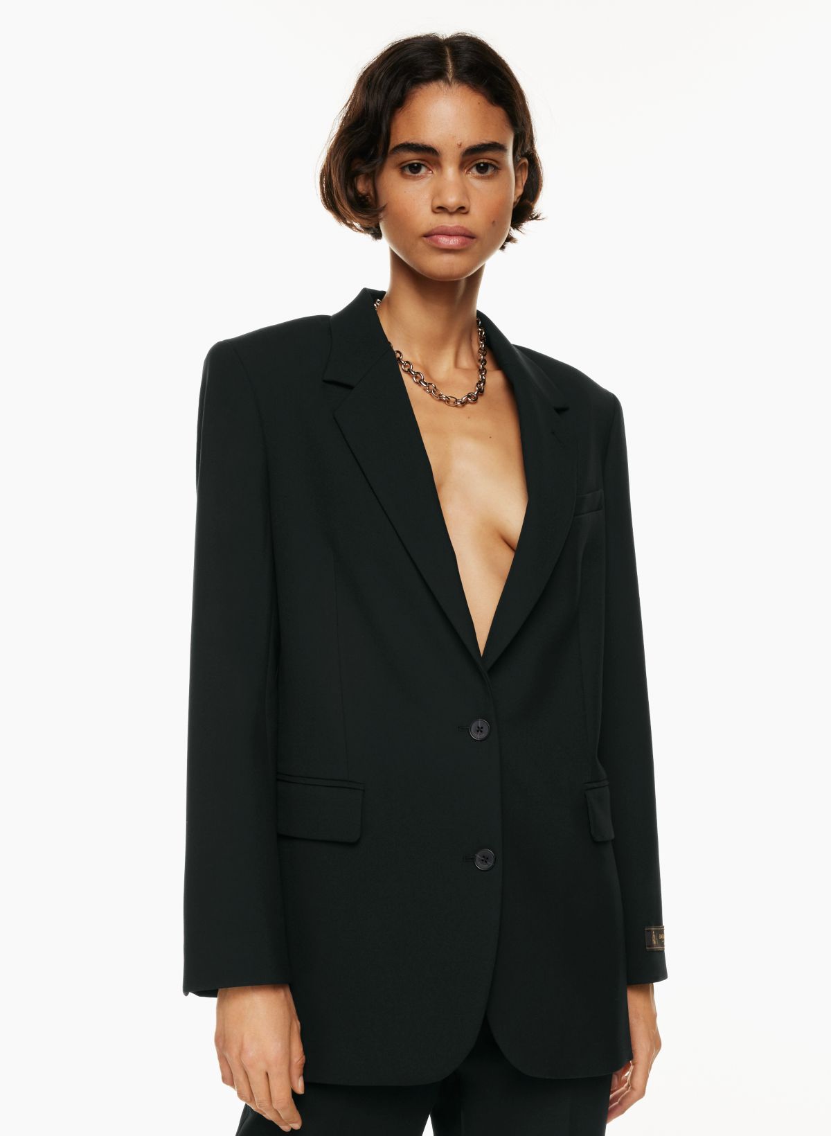 Aritzia on sale babaton blazer