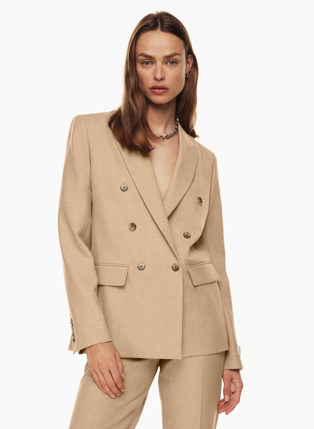 Babaton INDEX BLAZER | Aritzia US