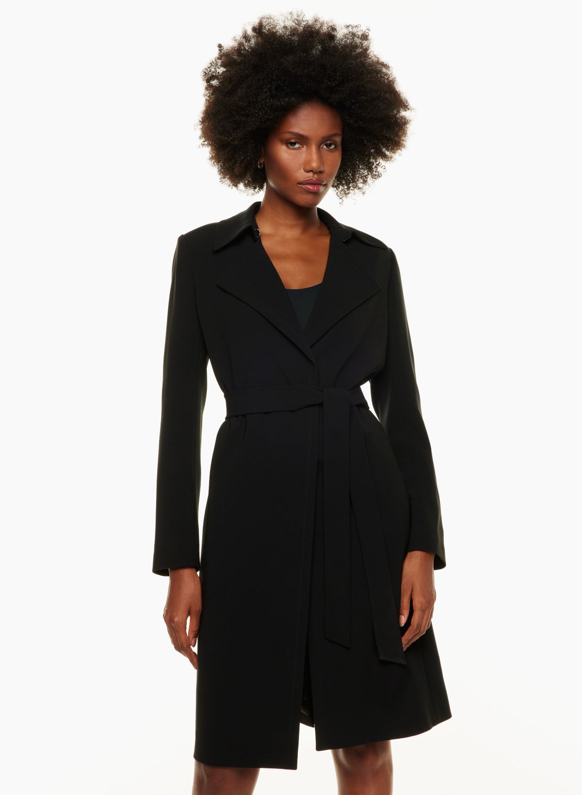 Babaton sale aritzia coat