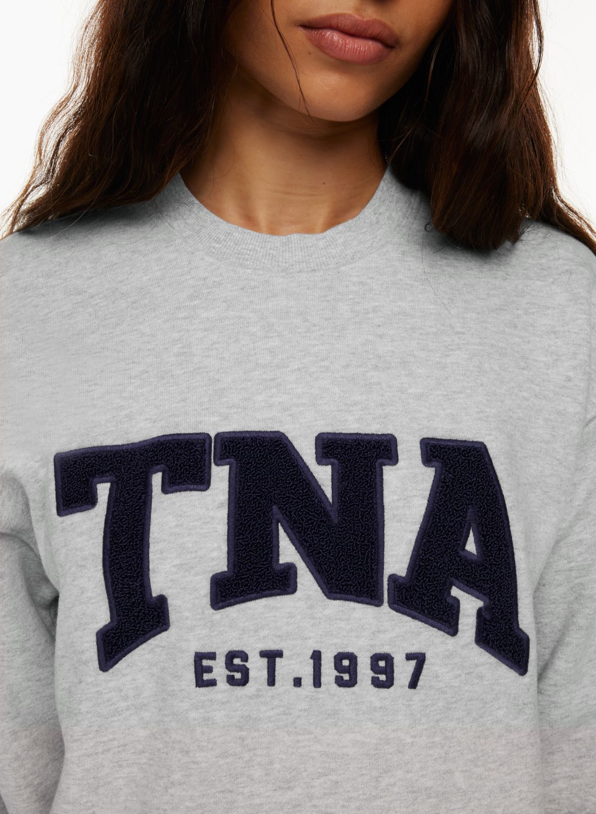 Tna COZY FLEECE BOYFRIEND CREW SWEATSHIRT | Aritzia CA