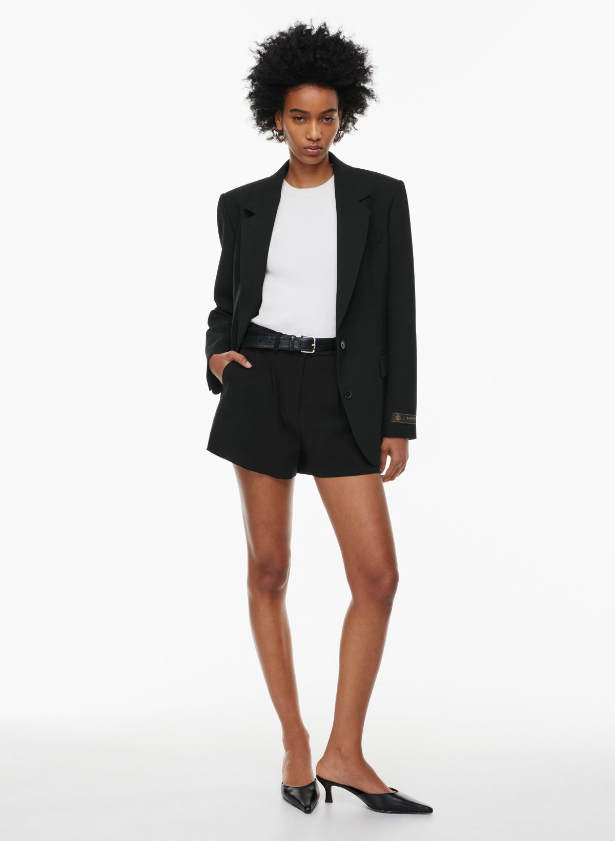 Planna Black Pleated Short Skirt