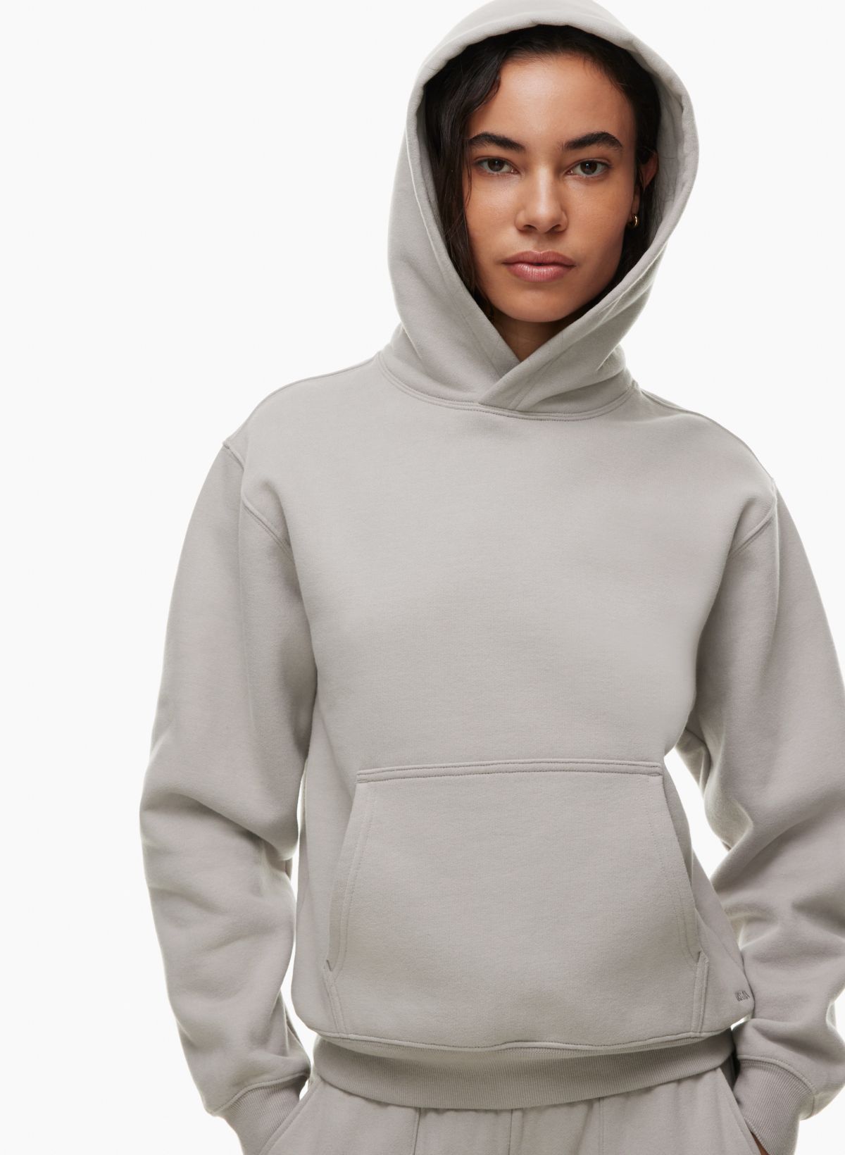 Sweatfleece COZY FLEECE PERFECT HOODIE | Aritzia CA