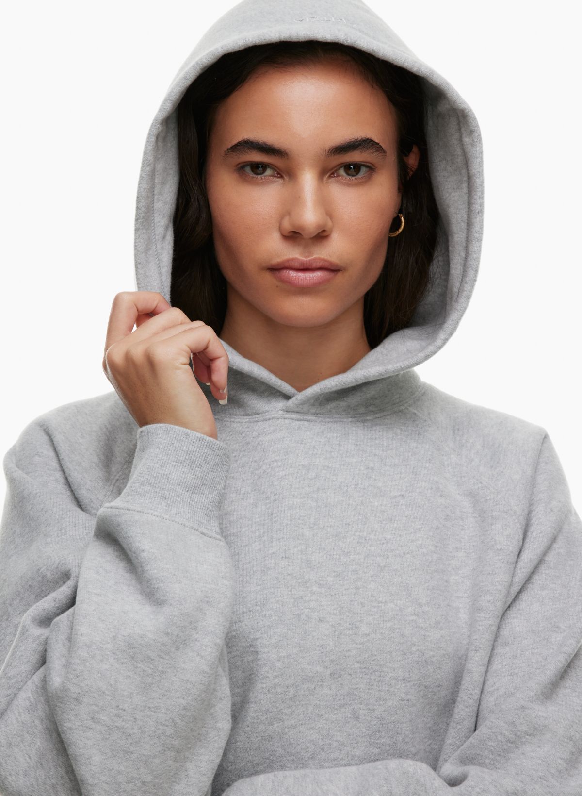 Aritzia grey hoodie new arrivals