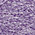 FIG PURPLE