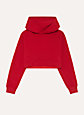 PERFECT HOODIE CROP | Aritzia