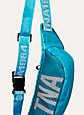 SWIN WAIST PACK | Aritzia