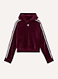 VELOUR CROP HOODIE | Aritzia