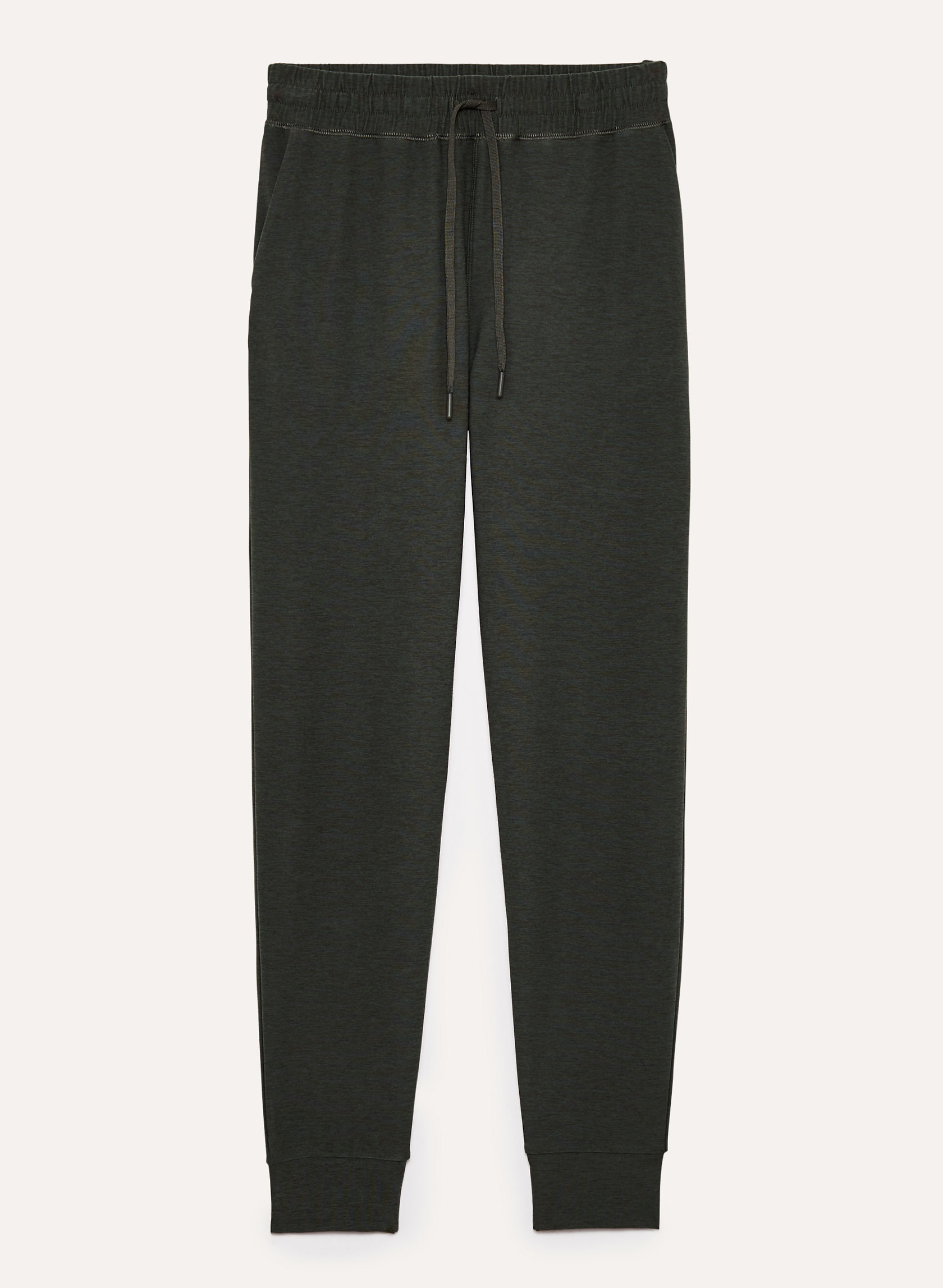 aritzia rodin jogger