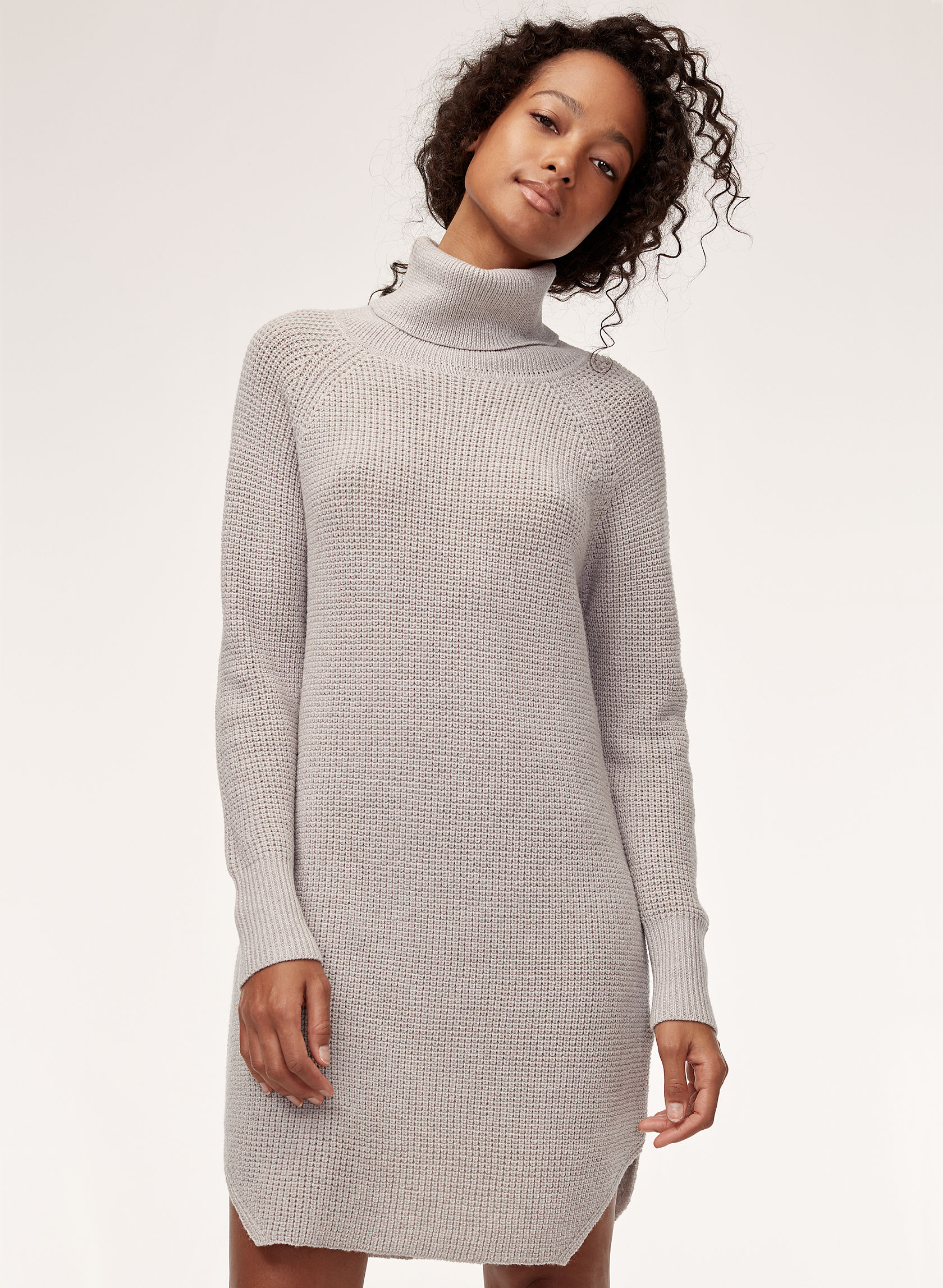 Wilfred Free BIANCA DRESS | Aritzia CA