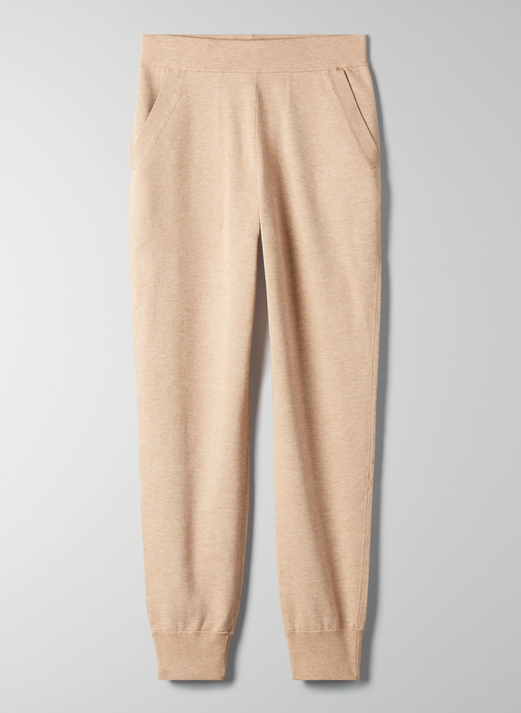 aritzia speed jogger