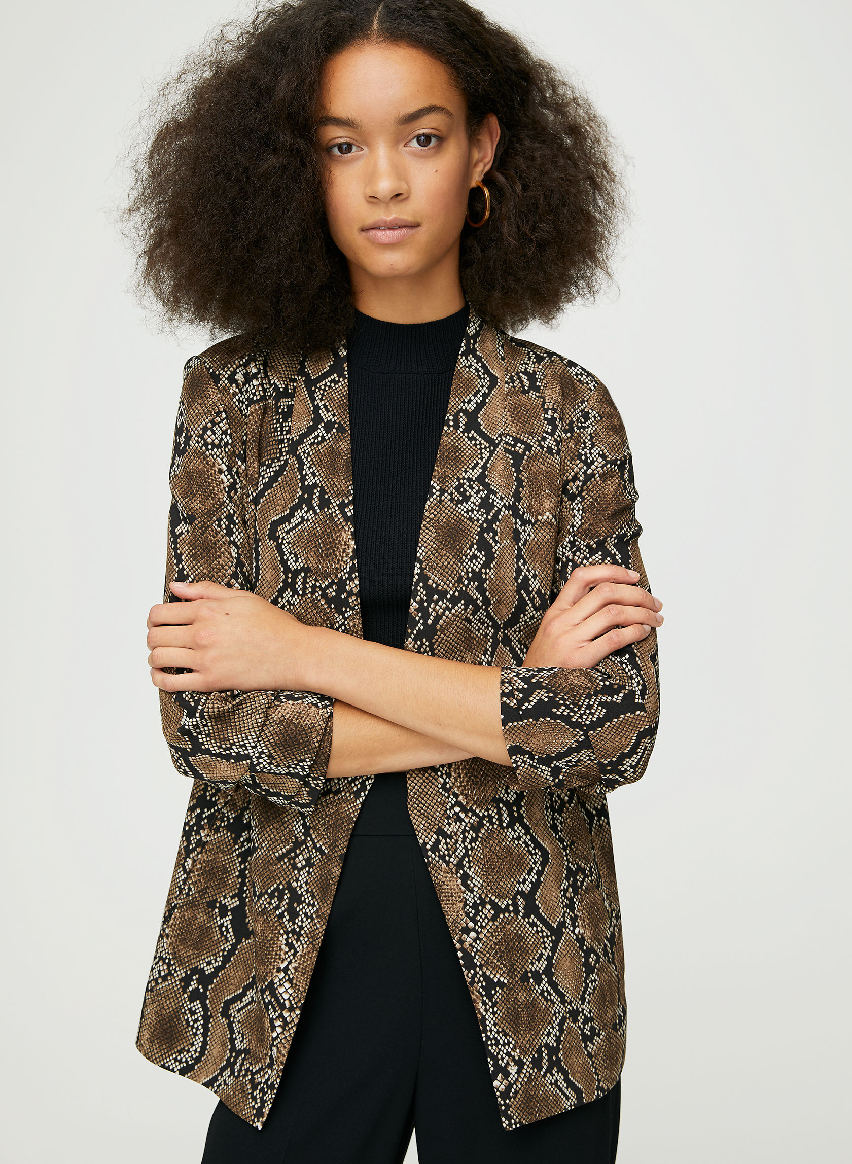 Babaton POWER BLAZER | Aritzia CA