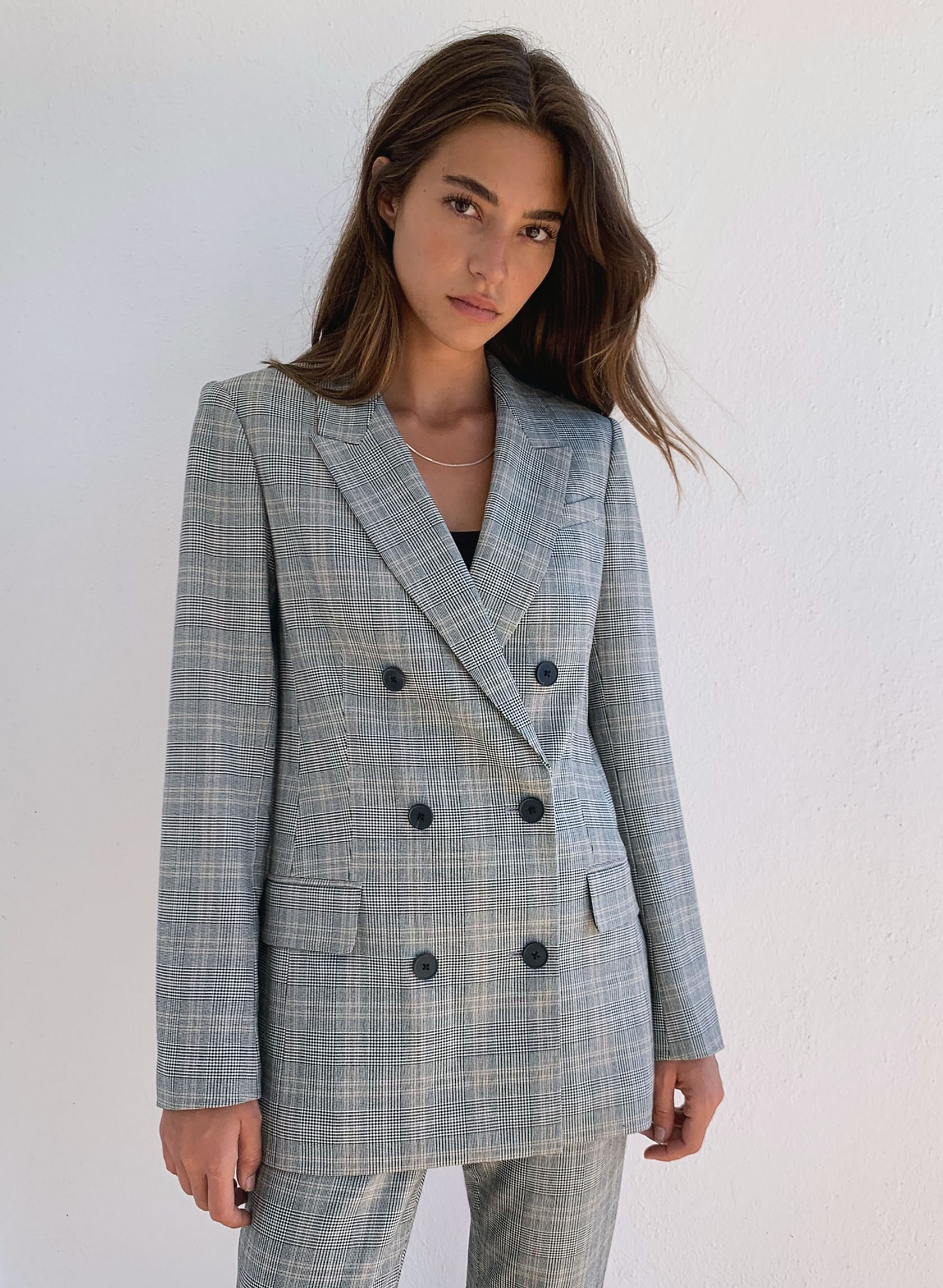 Babaton SAMUEL BLAZER | Aritzia US