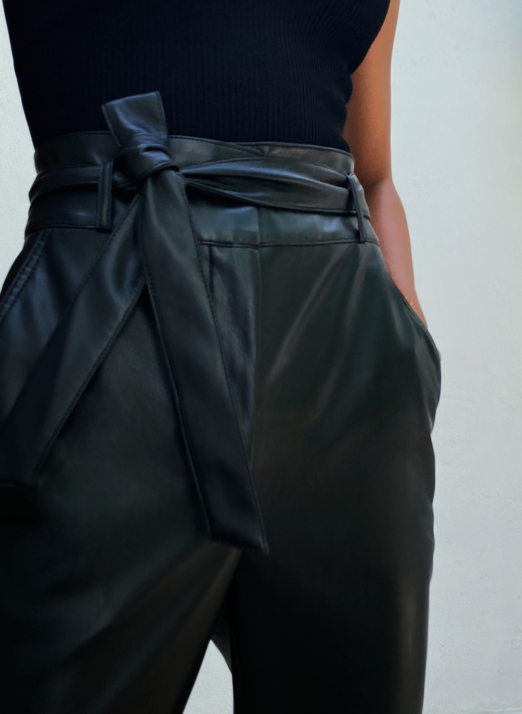 Babaton VEGAN LEATHER BELTED PANT | Aritzia US