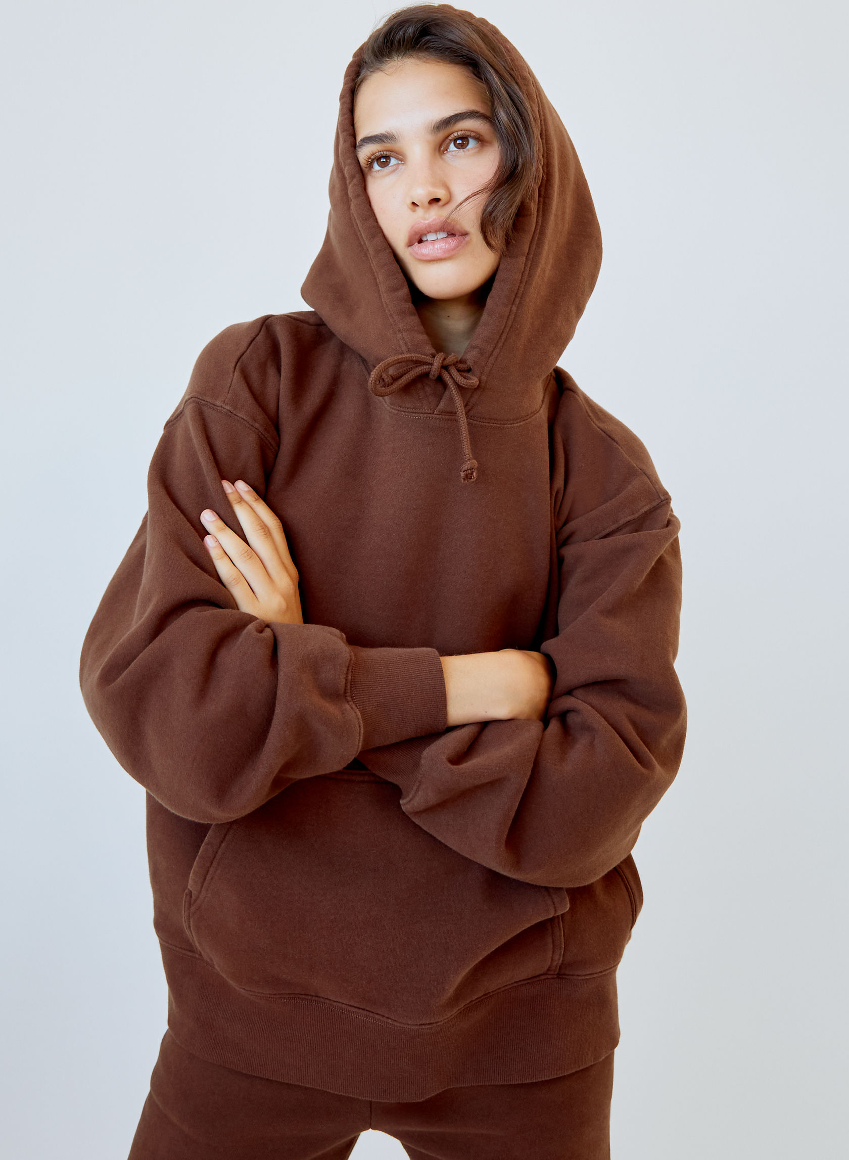 Tna COZY FLEECE BOYFRIEND HOODIE | Aritzia CA