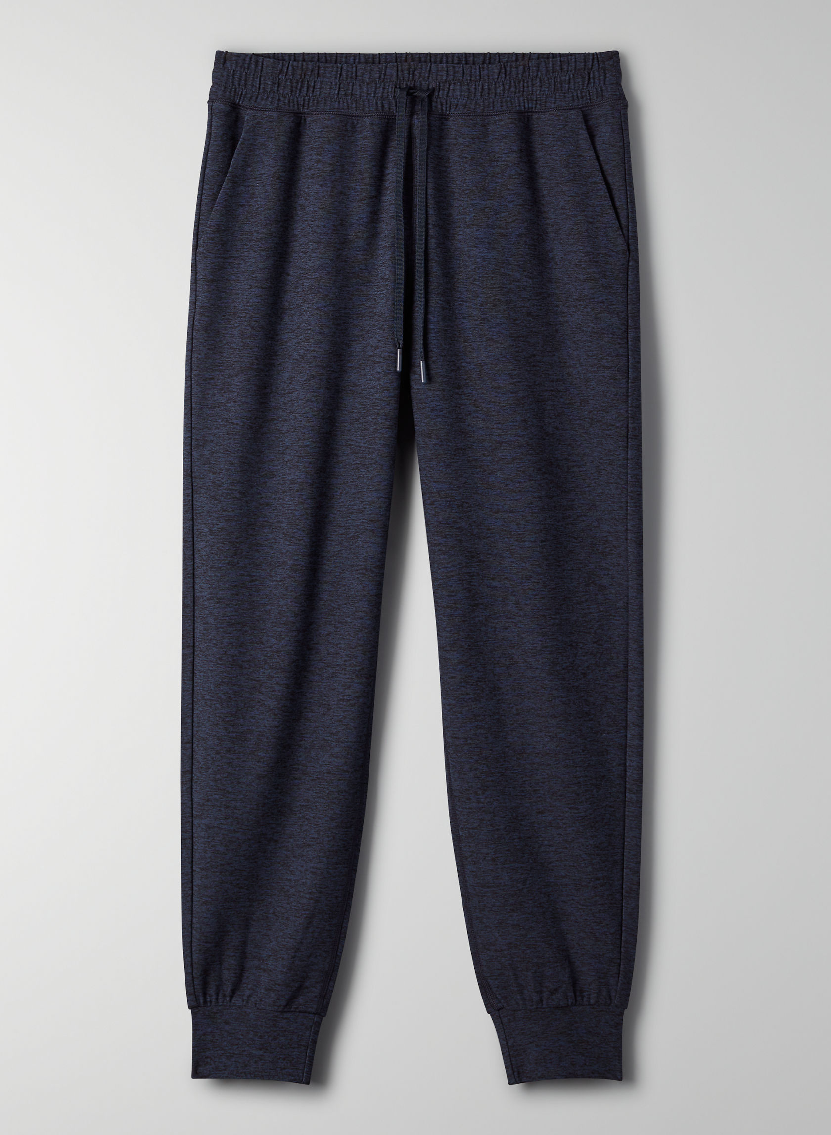 aritzia speed jogger