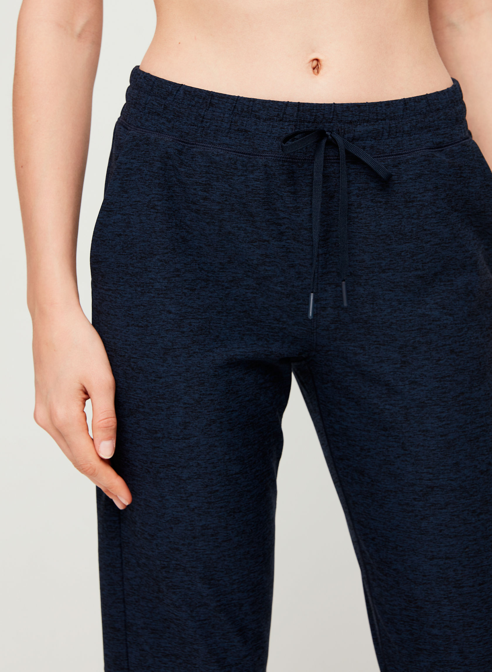 aritzia rodin jogger