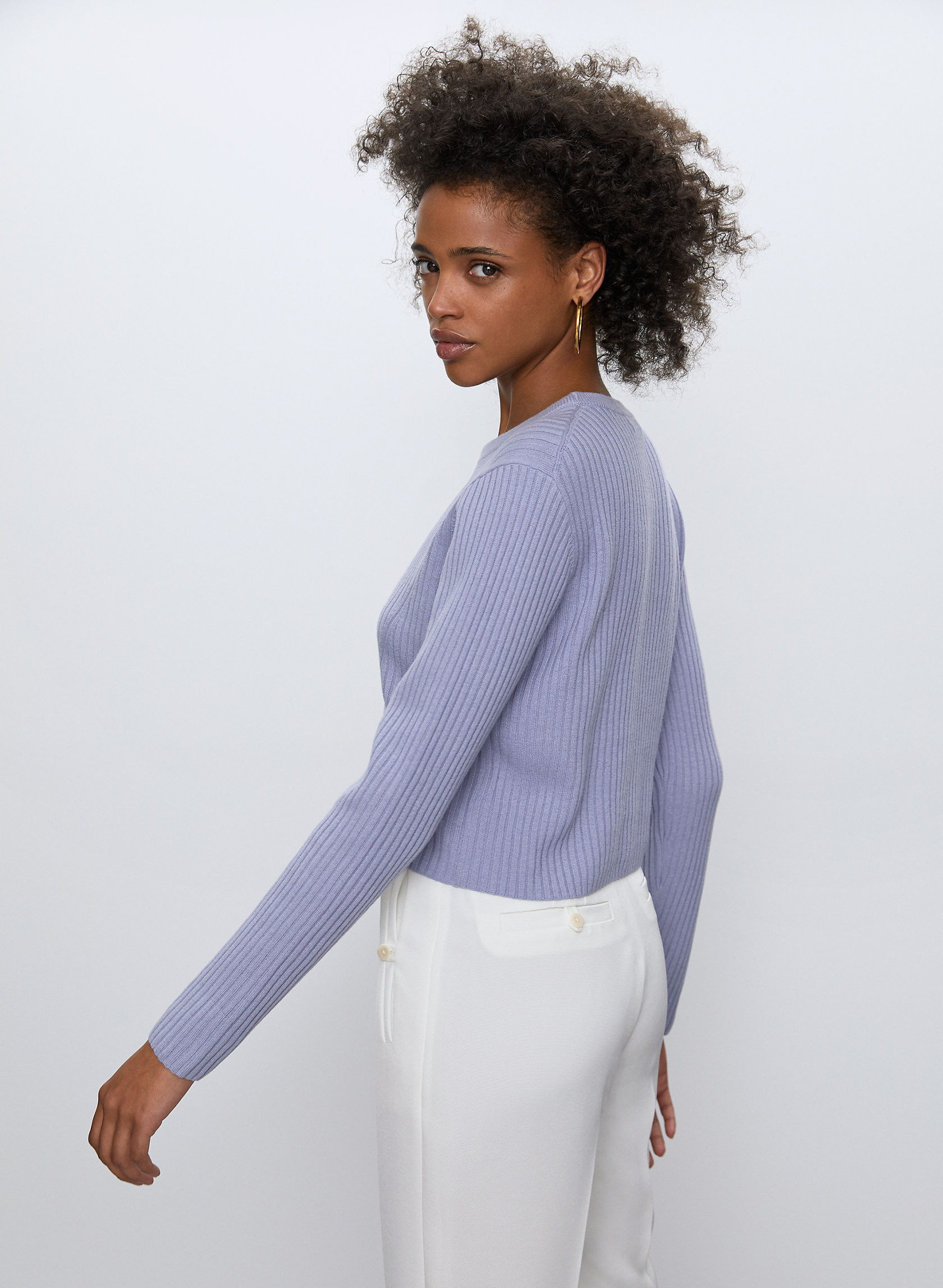 Babaton NEW NATHANIEL SWEATER | Aritzia US