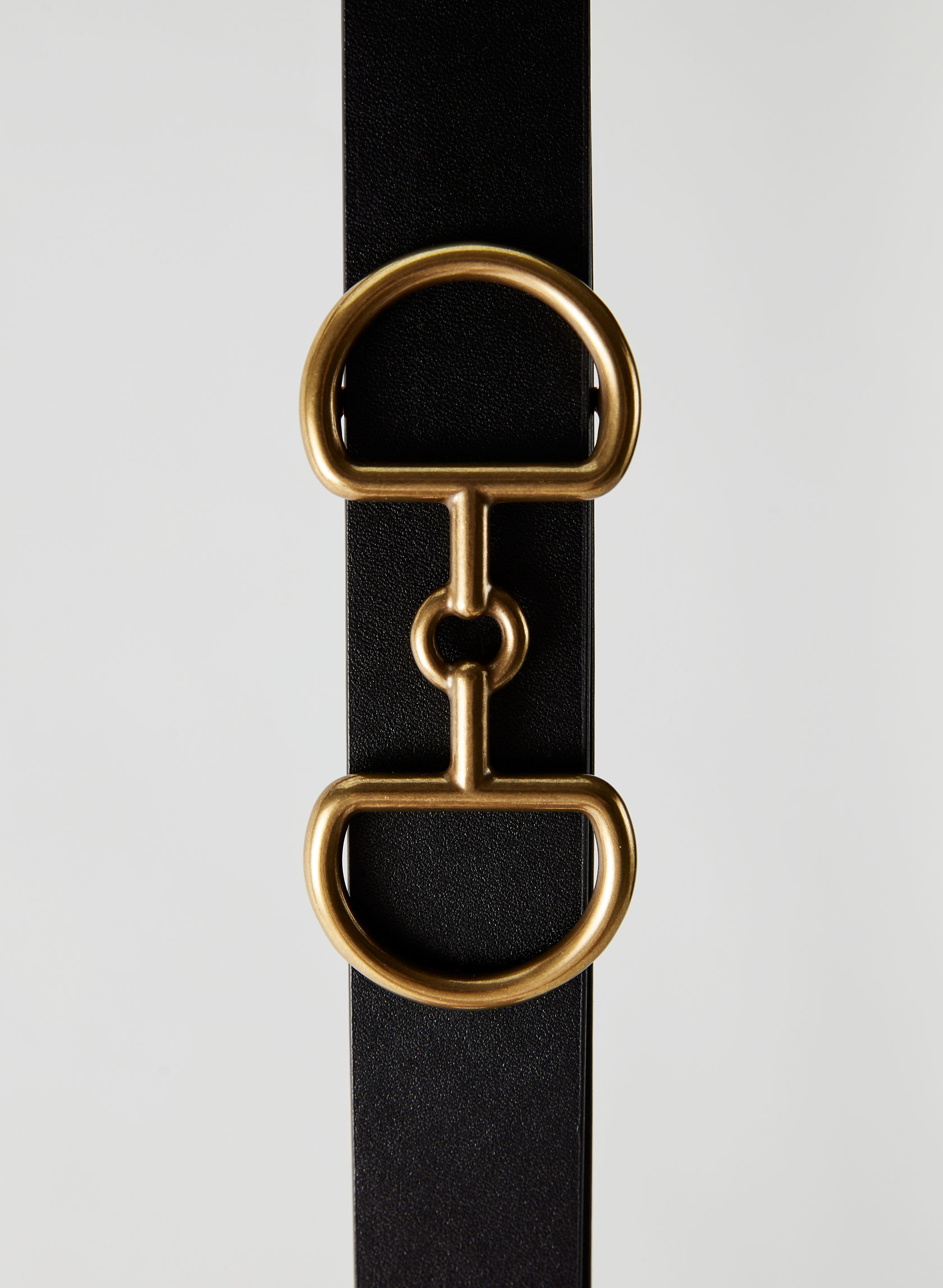 Auxiliary HORSEBIT BUCKLE BELT Aritzia CA