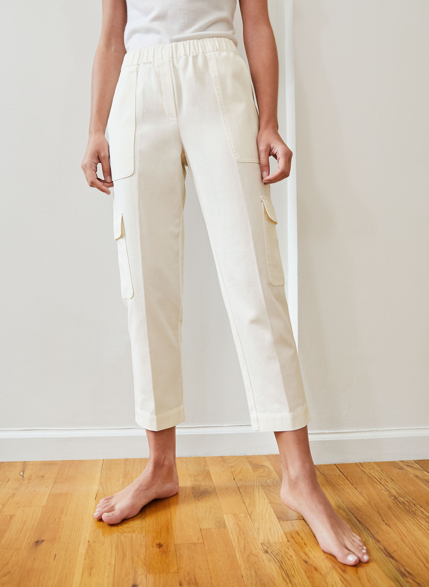 babaton aritzia pants
